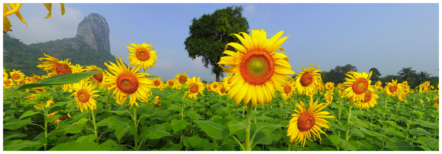 Pludhaya resort and spa